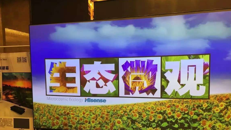激光电视投电动幕效果好吗？【南京尊龙凯时音响】